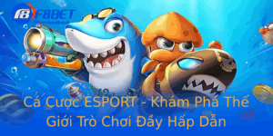 Ca Cuoc Esport Kham Pha The Gioi Tro Choi Ay Hap Dan