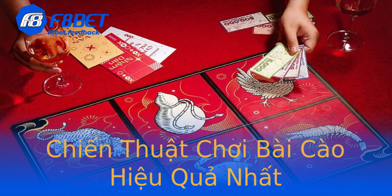 Chiến Thuật Chơi Bài Cào Hiệu Quả Nhất Chiến Thuật Chơi Bài Cào Hiệu Quả Nhất
