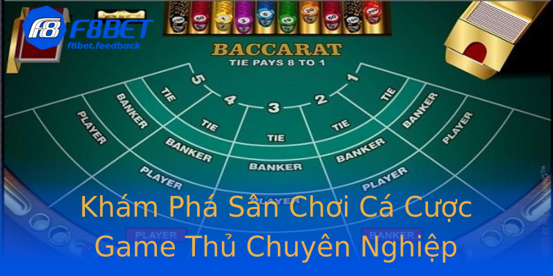 Khám Phá Sân Chơi Cá Cược Game Thủ Chuyên Nghiệp Khám Phá Sân Chơi Cá Cược Game Thủ Chuyên Nghiệp