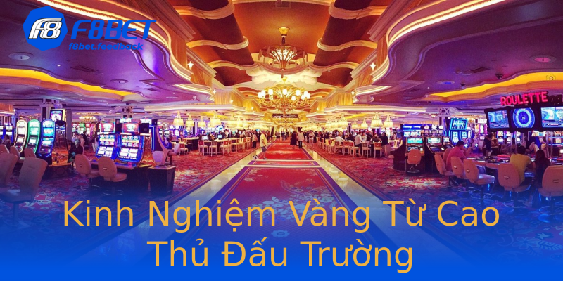 Kinh Nghiệm Vàng Từ Cao Thủ Đấu Trường Kinh Nghiệm Vàng Từ Cao Thủ Đấu Trường